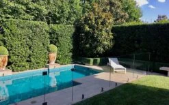 Bay Laurel (Sweet Bay) - Laurus Nobilis - 1 Gallon Pot -Garden Plant Store Bay Laurel 7