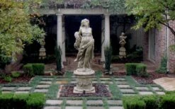 Dwarf Mondo Grass - 18 Count Flat Of Pint Pots -Garden Plant Store Picture Mondo Grass Dwarf Pavers