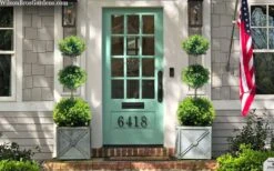 Green Mountain Boxwood 3-Ball Poodle Tier Topiary - 6 Gallon Pot -Garden Plant Store buxus green mountain 3 ball topiary 20