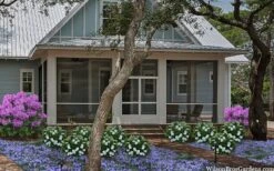 Snow Globe Gardenia - 3 Gallon Pot -Garden Plant Store gardenia jasminoides snow globe 2 1