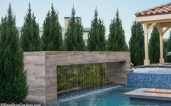 Spartan Juniper - 1 Gallon Pot -Garden Plant Store juniperus chinensis spartan columnar juniper 40