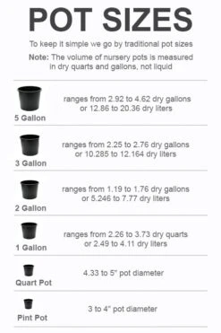 Garden Plant Store -Garden Plant Store pot size chart 2022
